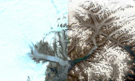Groenlandia, ghiacciai in agonia nelle immagini Landsat