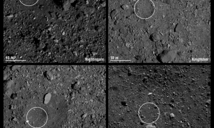 Quattro siti per Osirix Rex