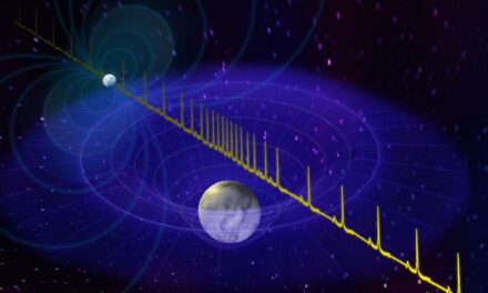 La stella di neutroni che è quasi un buco nero