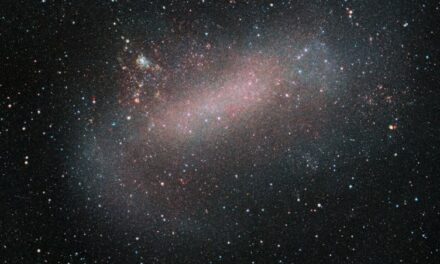 La Grande Nube di Magellano nel mirino di Vista