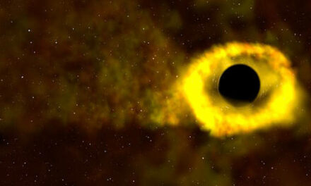 Buco nero sbrana stella: pizzicato da Tess