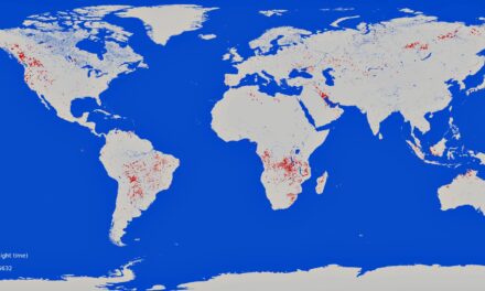 Incendi in Amazzonia, gli effetti su clima e salute