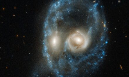 Un ‘volto alieno’ per Hubble