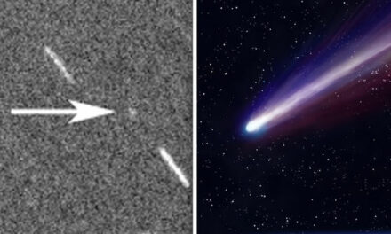 Borisov, c’è gas sulla cometa interstellare