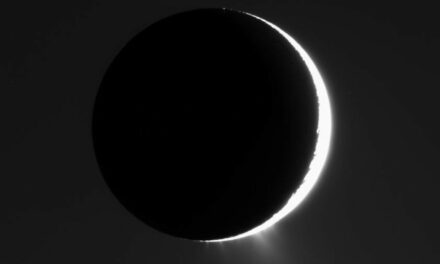 ‘Sorpresa’ organica nei chicchi ghiacciati di Encelado
