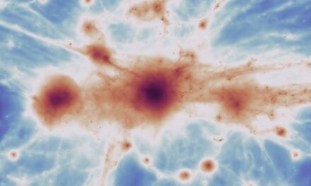 Un ‘network’ galattico nell’antico Universo