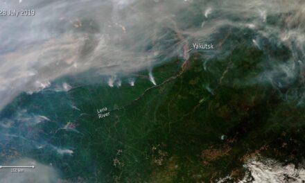 Incendi nel mondo, primo bilancio 2019