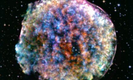 Una supernova ‘articolata’