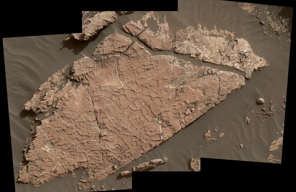 Curiosity osserva un’antica oasi marziana