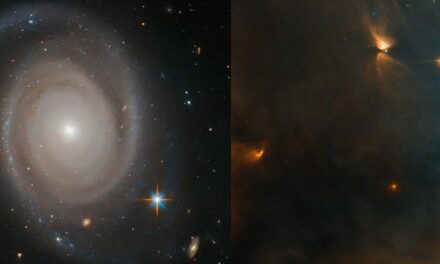 Nuovi ritratti per la ‘pinacoteca’ di Hubble