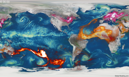 Incendi Australia, ecco la mappa globale dei fumi