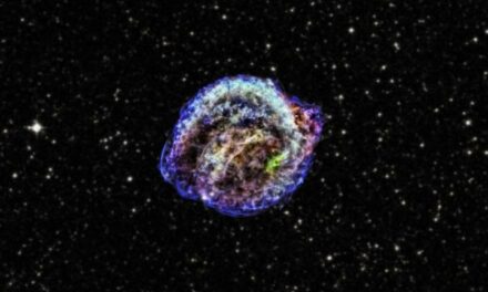 Quale epilogo per le stelle di massa intermedia?