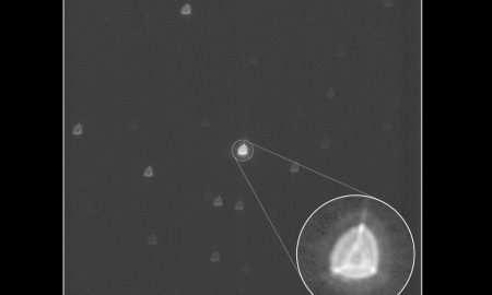 La prima stella di Cheops