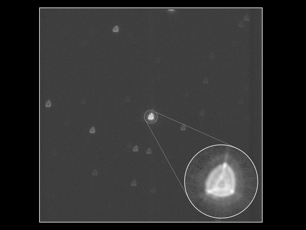 La prima stella di Cheops
