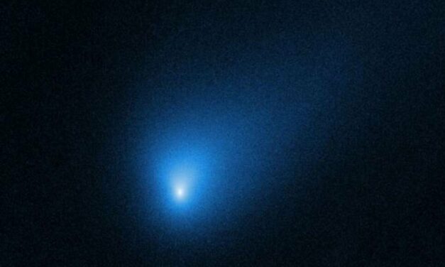 Nuovi dettagli su Borisov, la cometa interstellare