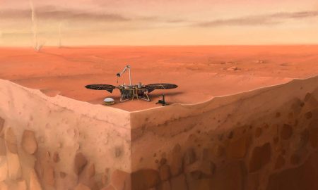 Un anno di scienza con Insight