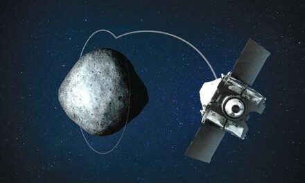 Osiris-Rex, dall’usignolo al falco pescatore