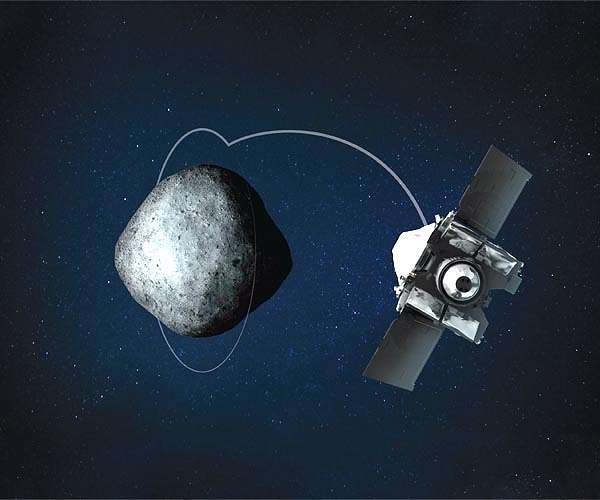 Osiris-Rex, dall’usignolo al falco pescatore