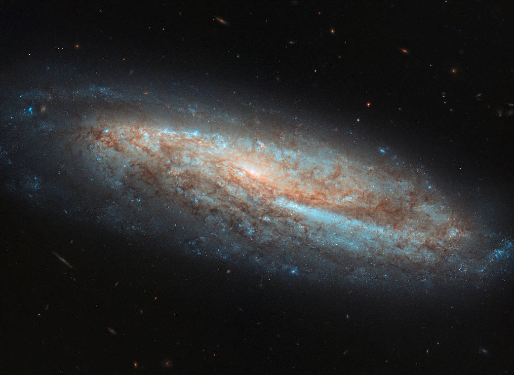 Baby stelle nel cuore di Ng 7541