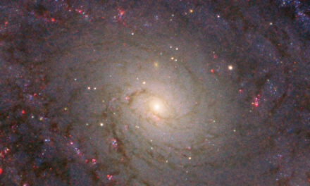 Una spirale maestosa per Hubble