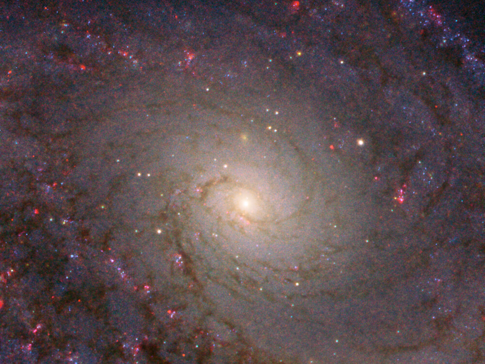 Una spirale maestosa per Hubble