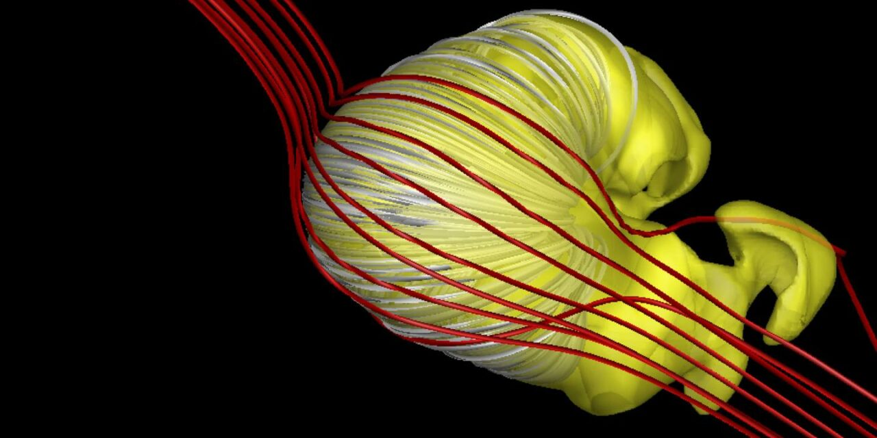 La strana forma dell’eliosfera