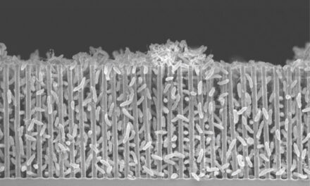 Nanostrutture per sopravvivere su Marte