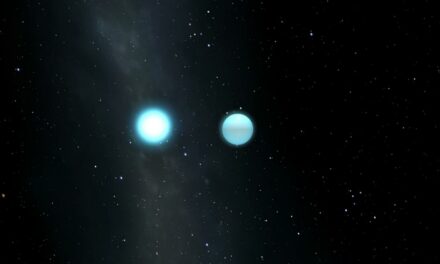 Eclissi di una stella pulsante