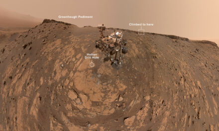 Marte e il carbonio organico totale