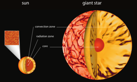 Nuova luce sulle dinamo stellari