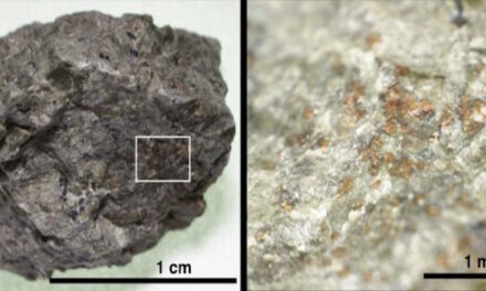 Meteorite marziano, la firma dell’antica abitabilità