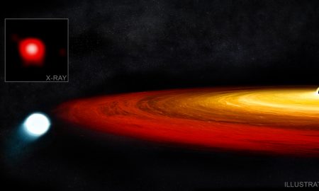 Scampato pericolo per la gigante rossa