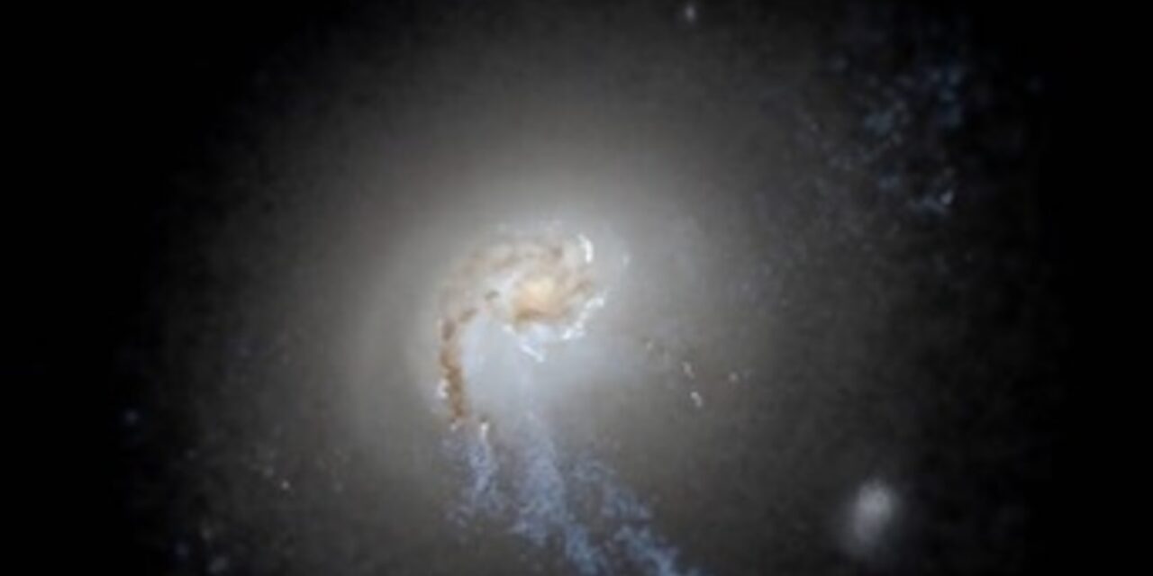 Stelle in fuga