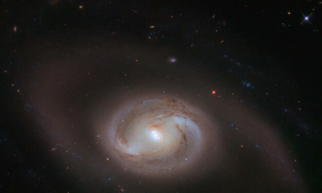 Una galassia multi-anello per Hubble