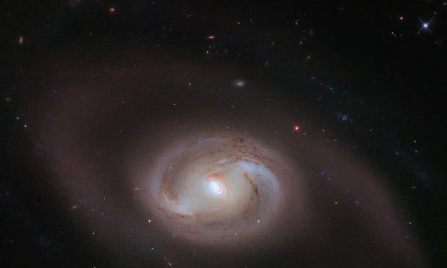 Una galassia multi-anello per Hubble