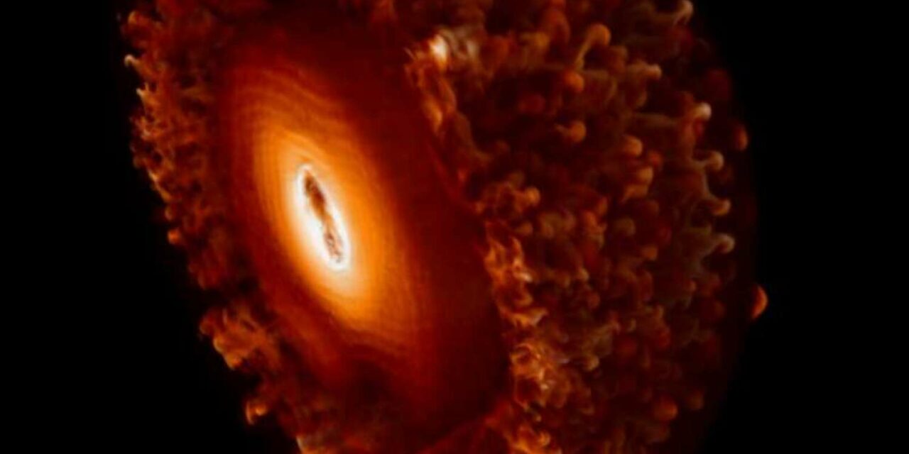 Supernova in 3D