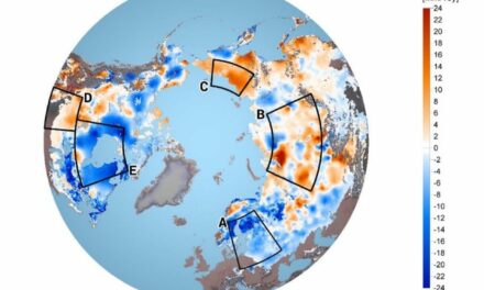 Neve sotto osservazione