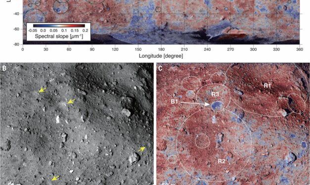 Hayabusa2 ci svela nuovi dettagli sulla superficie di Ryugu