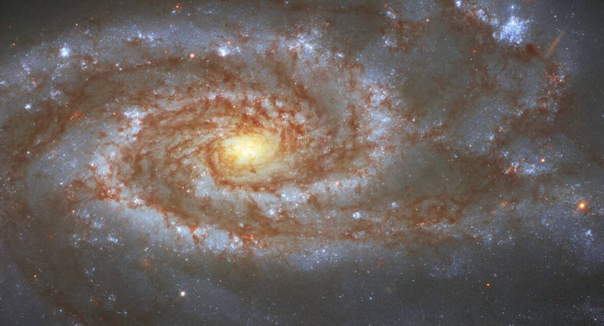 Una galassia ‘intermedia’ per Hubble