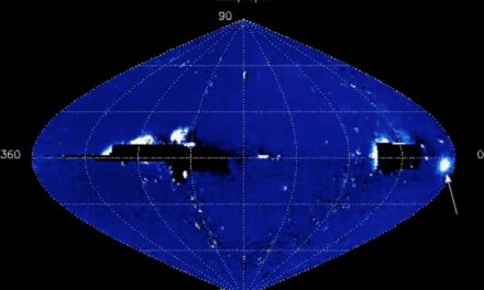 Un ‘cigno’ spaziale scoperto per caso