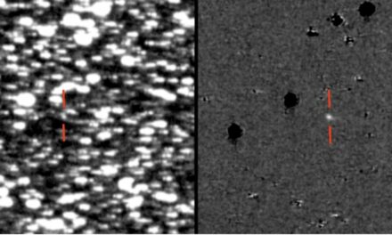 Crossover spaziali: scoperto un asteroide con la coda