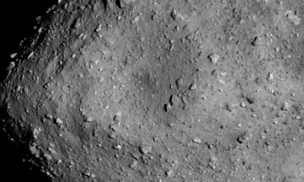 L’origine di Ryugu e Bennu