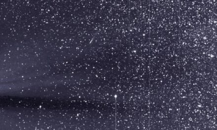 Una cometa sotto i riflettori