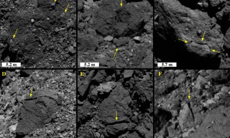 Le ‘rughe’ di Bennu