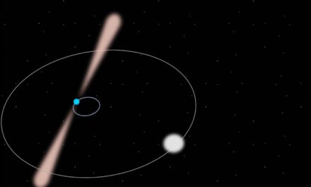 Una pulsar per Einstein