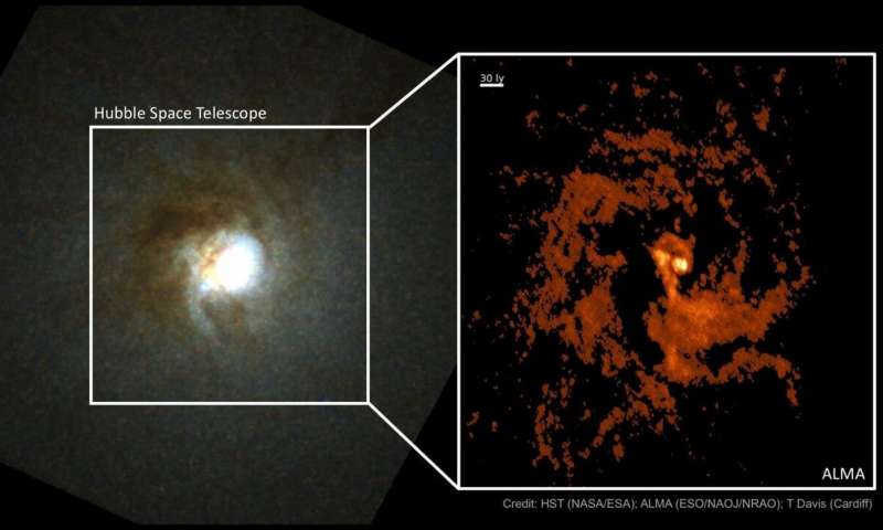 La nascita dei buchi neri supermassicci