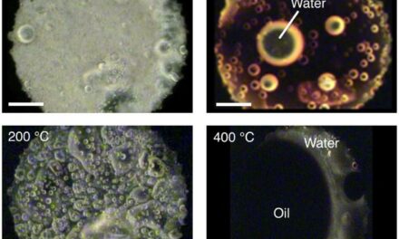 La materia organica interstellare è la fonte di acqua sulla Terra?