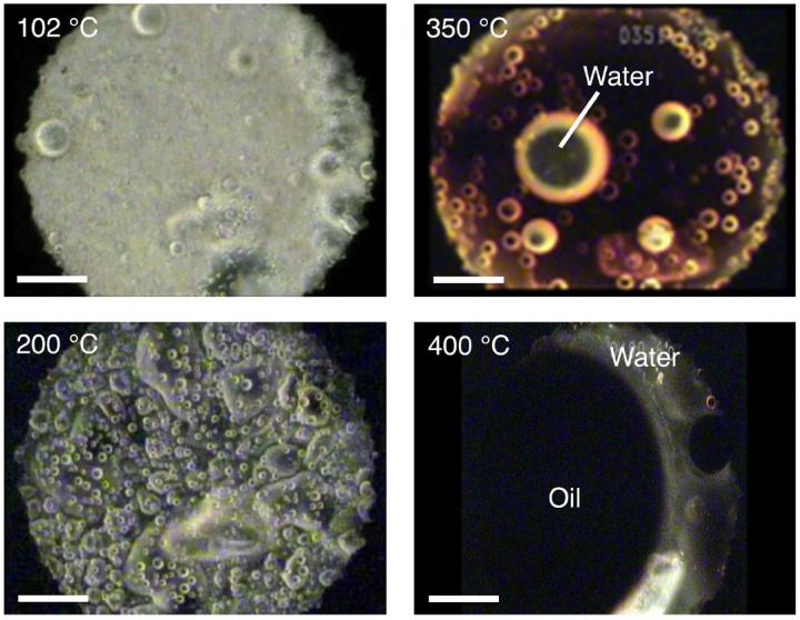 La materia organica interstellare è la fonte di acqua sulla Terra?