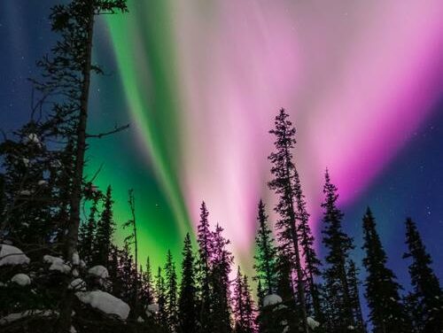 Le luci rosa dell’aurora boreale registrate dai sismometri in Alaska