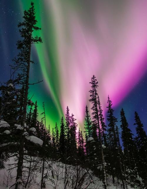 Le luci rosa dell'aurora boreale registrate dai sismometri in Alaska 1 - Le  luci rosa dell'aurora boreale registrate dai sismometri in Alaska